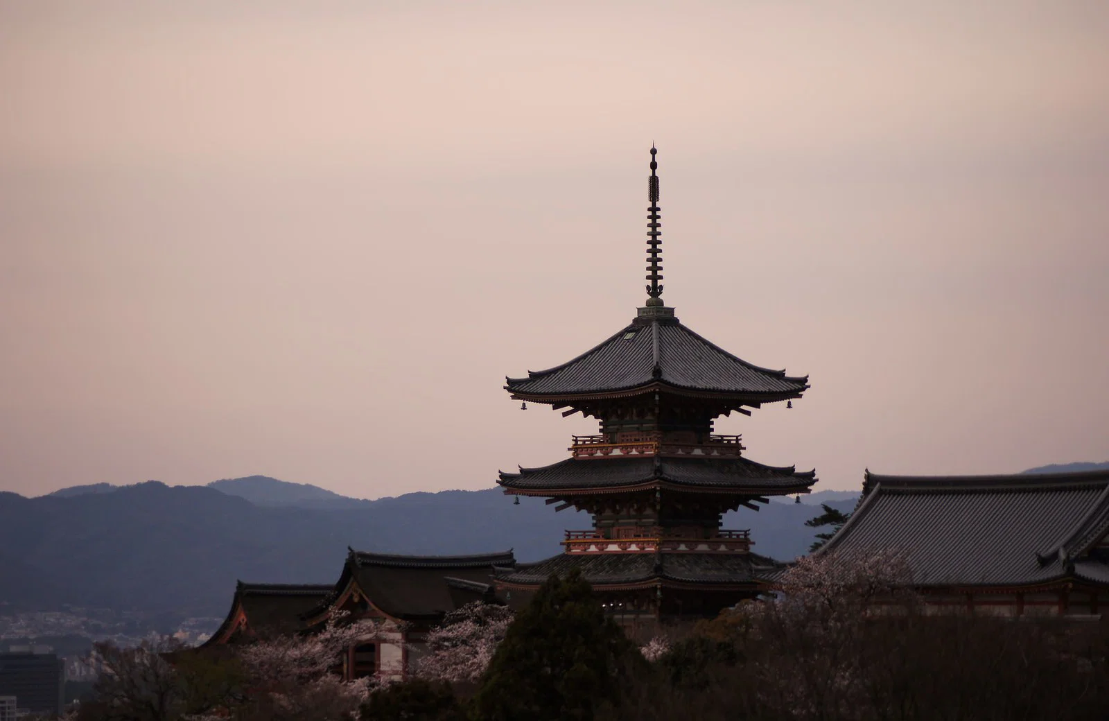 京都・東山の塔と桜の夕景